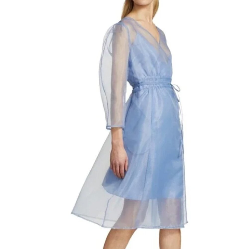 Elegant Blue Sheer Dress